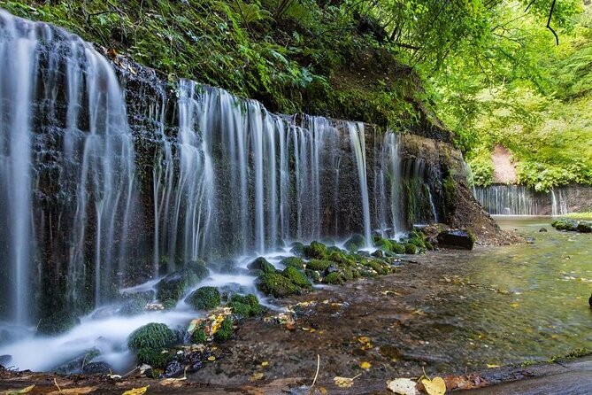 Karuizawa Half-Day Private Trip With Government-Licensed Guide - Guided Tour Inclusions