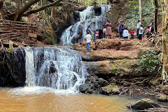 Karura Forest Nature Trail - Key Points