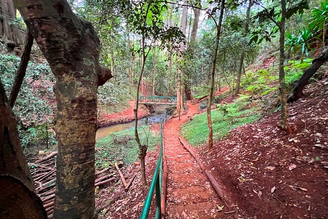Karura Forest Nature Trail - Tour Accessibility and Participation