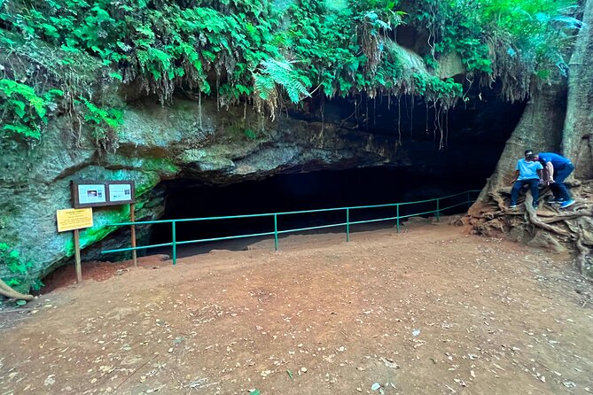 Karura Forest Nature Trail - Concerns and Suggestions From Reviewers