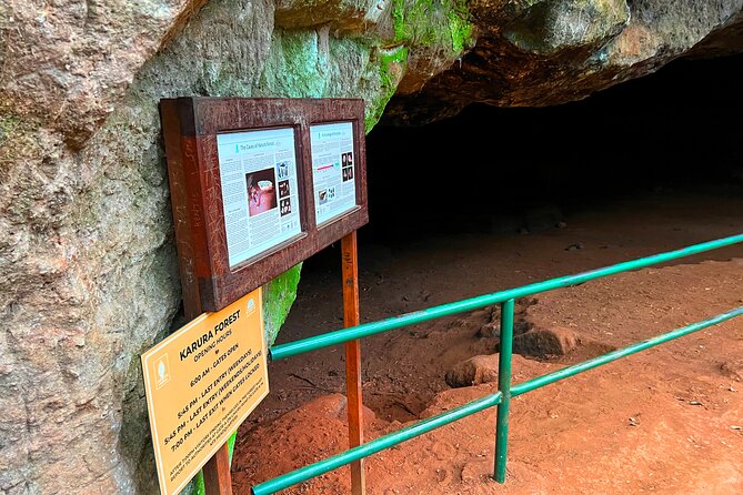 Karura Forest Nature Trail - Additional Activity Options