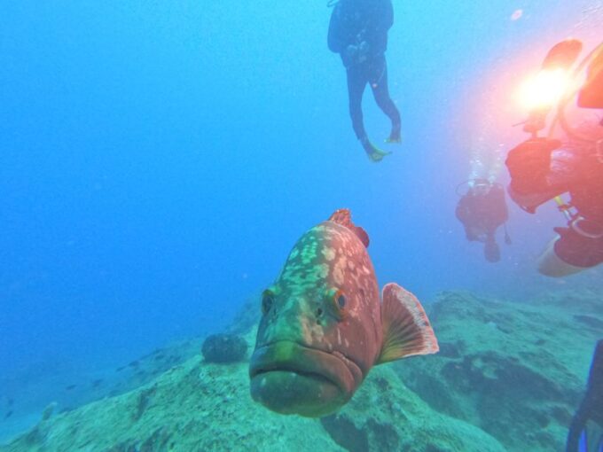Kas: Scuba Diving Experience - Booking and Cancellation Information