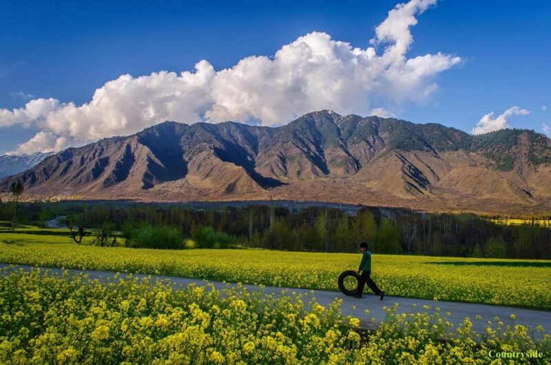 Kashmir Tour Packages - Inclusions and Accommodations