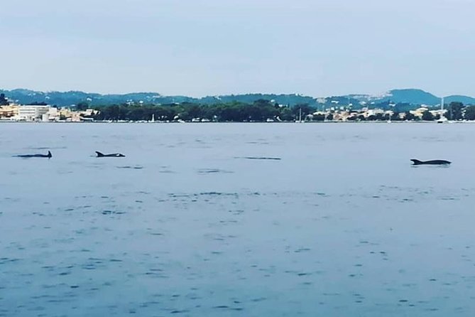 Kassiopi Private Daily Sailing Yacht Cruise - Booking and Confirmation