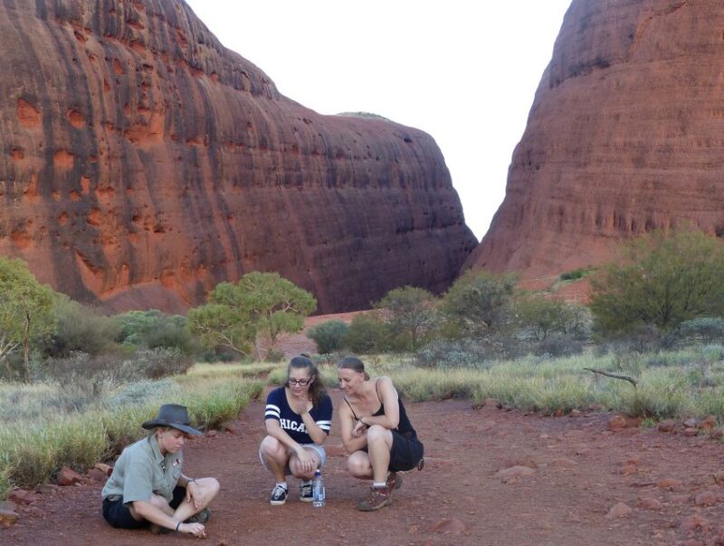 Kata Tjuta: Small Group Sunrise Tour With Picnic Breakfast - Inclusions