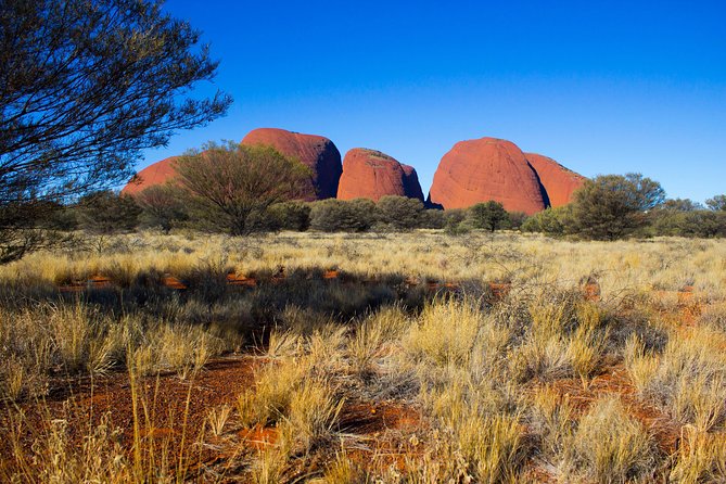 Kata Tjuta Sunrise and Valley of the Winds Half-Day Trip - Hiking Experience and Feedback