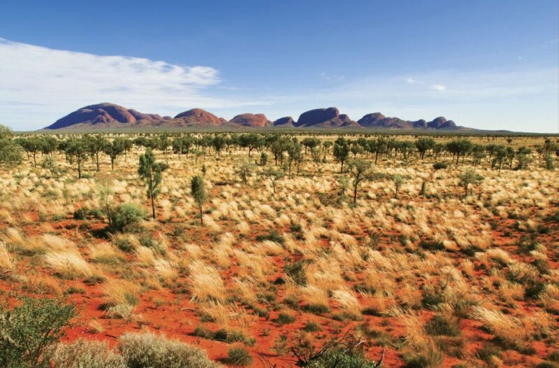 Kata Tjuta Sunrise & Valley of the Winds Tour + Breakfast - Inclusions