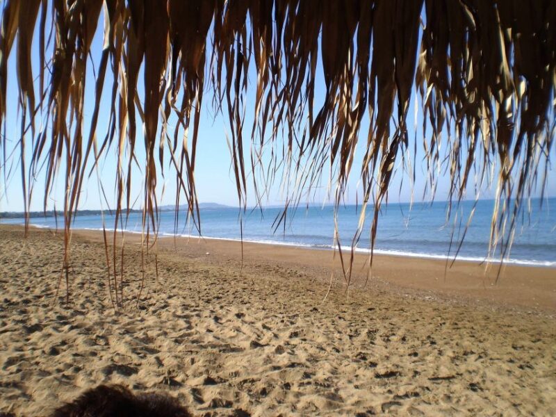 Katakolo: Ancient Olympia and Kourouta Beach Guided Tour - Guided Tour Itinerary
