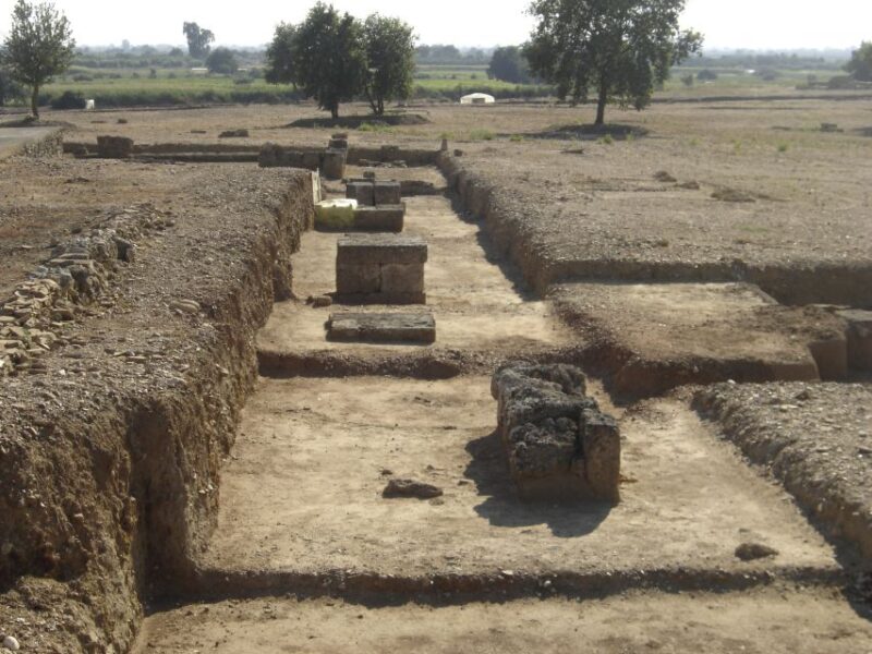Katakolo: Olympia Archaeological Site Shore Excursion - Museum Artifacts and Antiquities