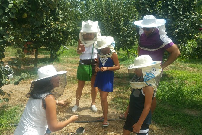 Katakolon Shore Excursion: Olympic Site, Honey/Olive Oil Tasting - Pricing, Cancellation, and Availability