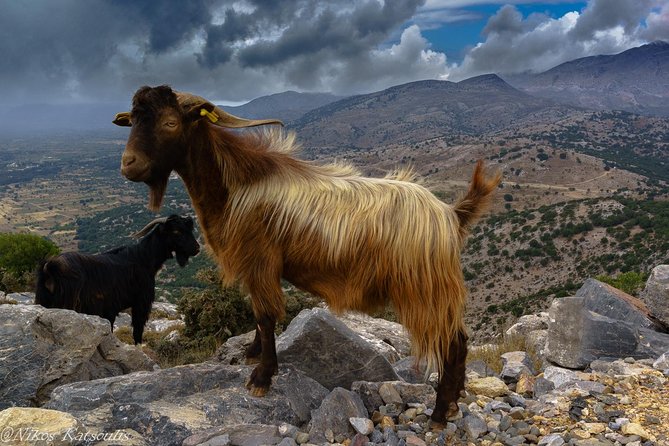 Katharo Route Tour From Agios Nikolaos - Dramatic Mountain Scenery