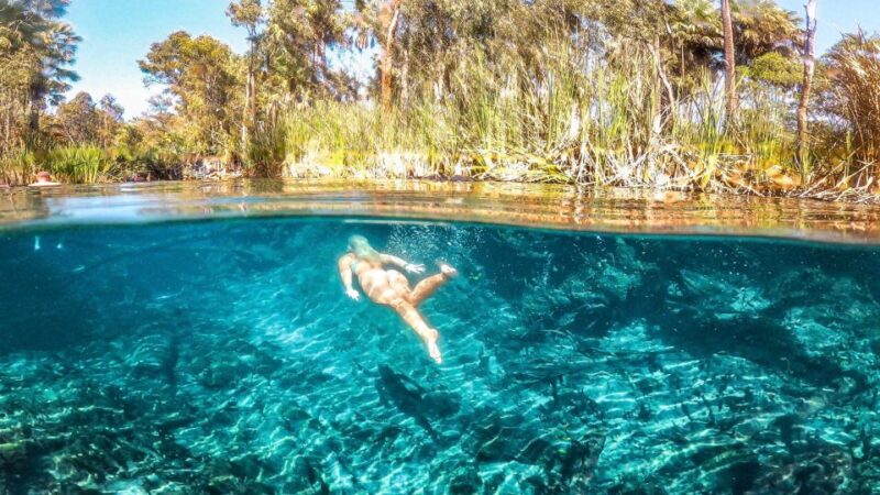Katherine Gorge - Mataranka - Edith Falls - Adelaide River - Booking and Cancellation