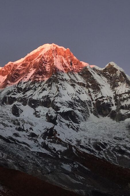 Kathmandu: 11 Days Annapurna Base Camp Trek With Poon Hill - Flora and Fauna