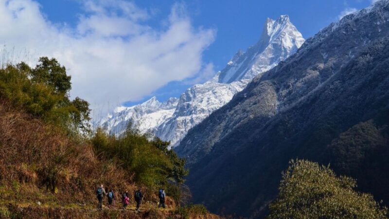 Kathmandu: 13-Day Annapurna Circuit Trek - Inclusions and Services