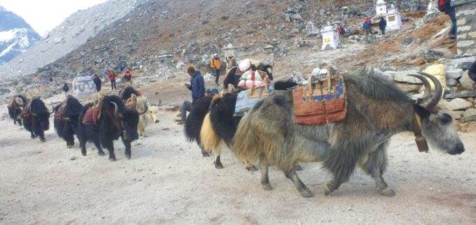 Kathmandu: 14-DAY Everest Base Camp With Kala Patthar Trek - Getting to Lukla
