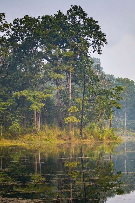 Kathmandu: 2-Day Chitwan National Park Jungle Safari Tour - Included in the Tour