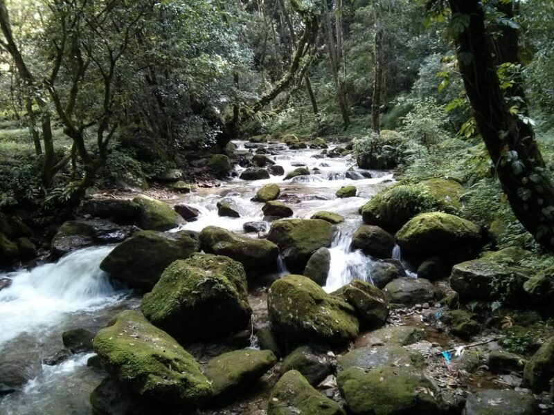 Kathmandu : 2 Night 3 Days Chisapani Nagarkot Trek Kathmandu - Itinerary Highlights