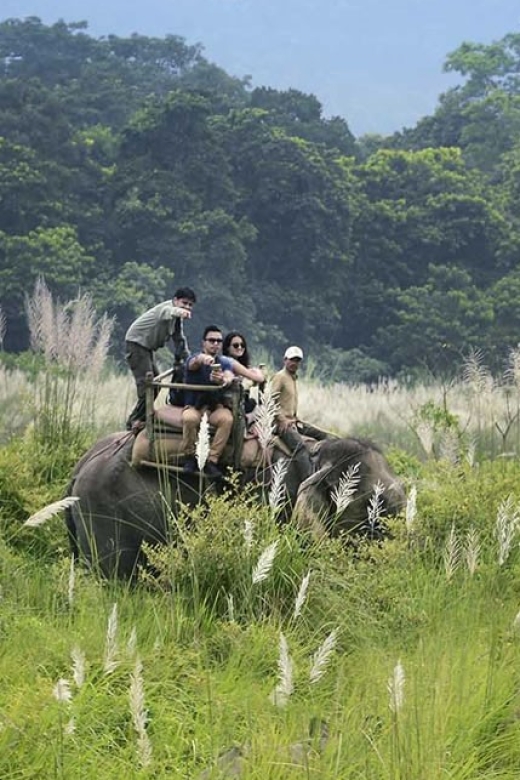 Kathmandu: 3 Day Chitwan Jungle Safari Tour Package - Day 1 Highlights