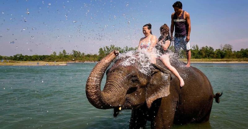 Kathmandu: 3-Day Chitwan National Park Safari Tour Package - Included Services
