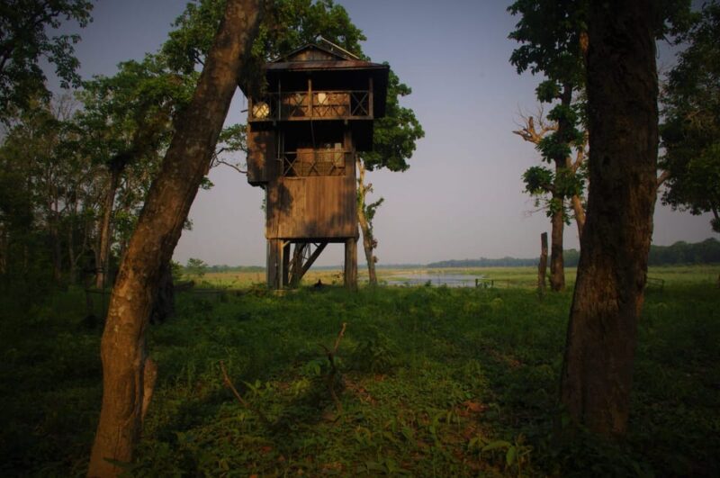 Kathmandu: 3-Day Chitwan Safari Tour With Hotel Transfer - Highlights of the Experience