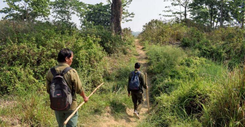 Kathmandu: 3-Day Chitwan Safari Tour With Hotel Transfer - Important Information