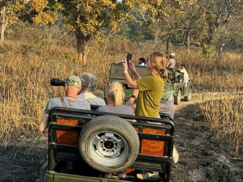 Kathmandu: 3-Day Chitwan Safari Tour with Hotel Transfers - Day 2: Full Day of Adventure — Canoeing, Jungle Walks, and Jeep Safaris