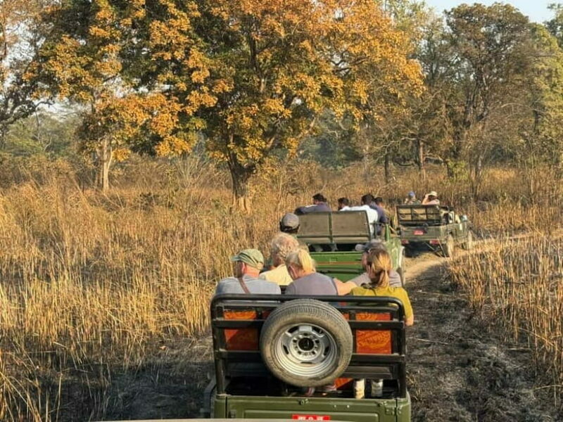 Kathmandu: 3-Day Chitwan Safari Tour with Hotel Transfers - The Value of This Tour
