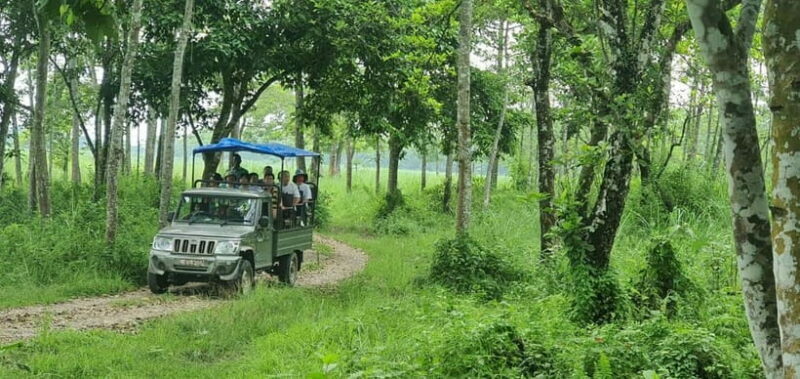 Kathmandu: 3-Day Chitwan Safari Tour with Hotel Transfers - Frequently Asked Questions