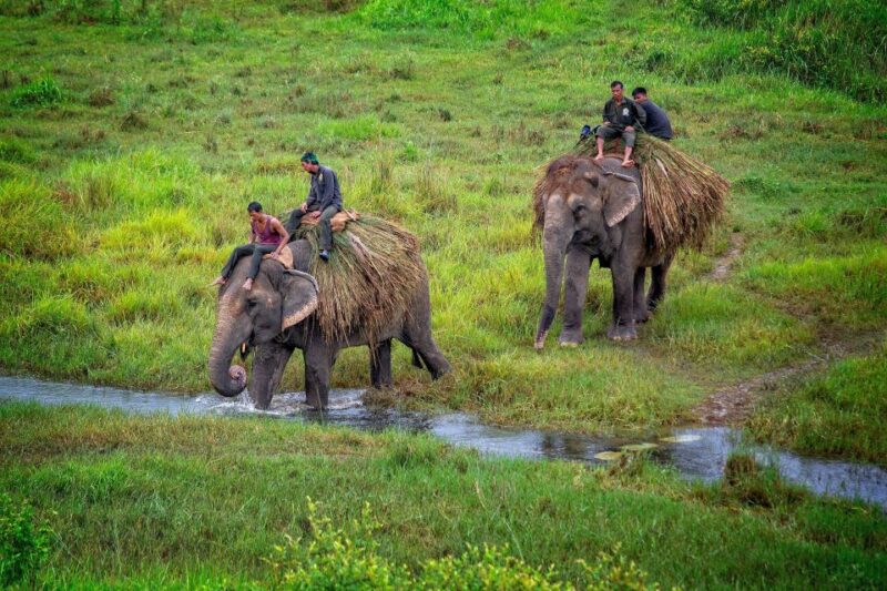 Kathmandu: 3-Day Luxury Trip to Chitwan With 5-Star Hotel - Key Points