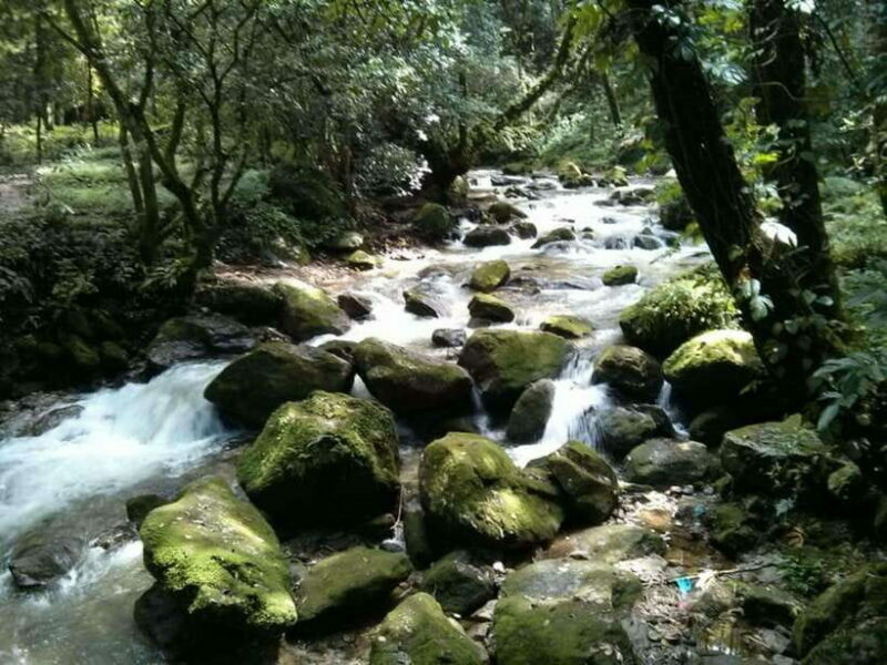 Kathmandu: 3 days Chispani Nagarkot Trek - An Authentic Himalayan Experience Worth Considering
