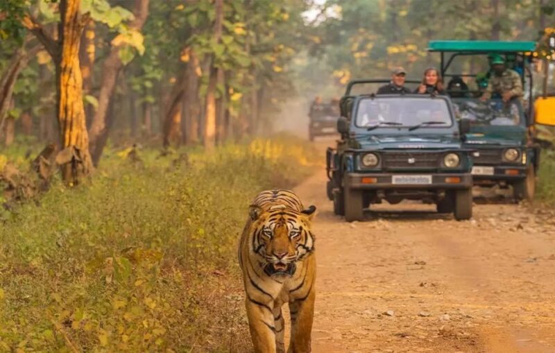 Kathmandu: 4-Day Private Chitwan National Park Safari Tour - Key Points