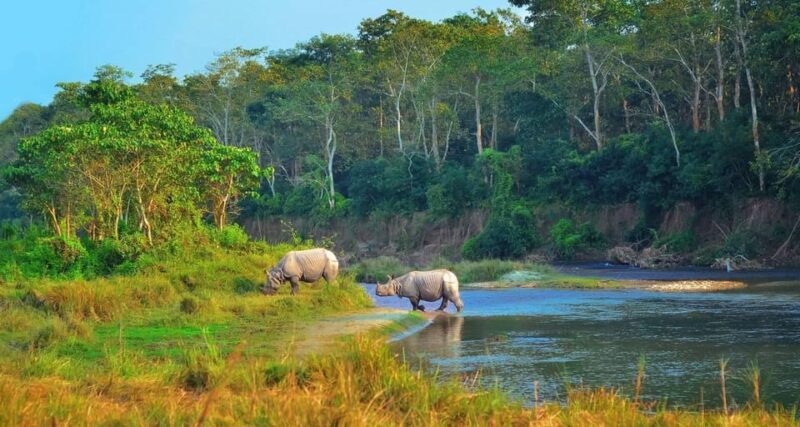 Kathmandu: 4-Day Private Chitwan National Park Safari Tour - Itinerary Highlights