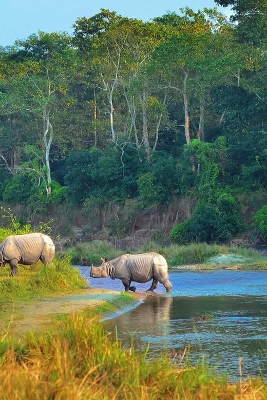 Kathmandu: 4-Day Private Chitwan National Park Safari Tour - Accommodation and Meals