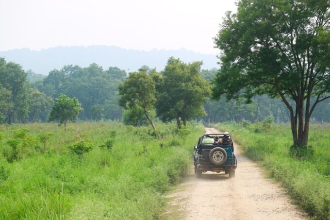 Kathmandu: 4-Day Private Chitwan National Park Safari Tour - Transportation and Guides