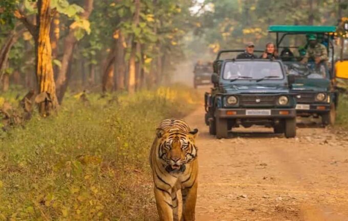 Kathmandu: 4-Day Private Chitwan National Park Safari Tour - Frequently Asked Questions
