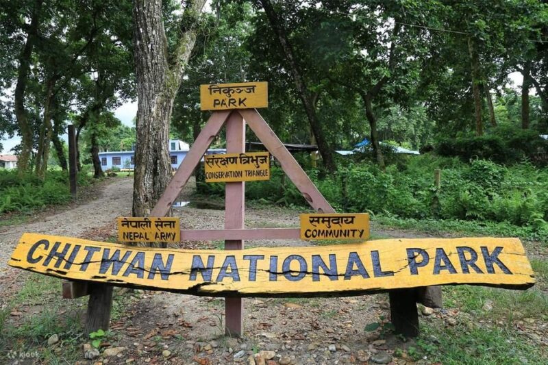 Kathmandu: 4-Days Unesco Sites & Wildlife Safari at Chitwan - Chitwan National Park