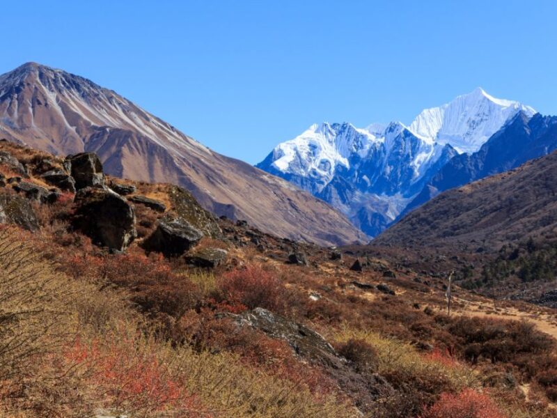 Kathmandu: 6 Days Langtang Valley Trek - Inclusions and Exclusions