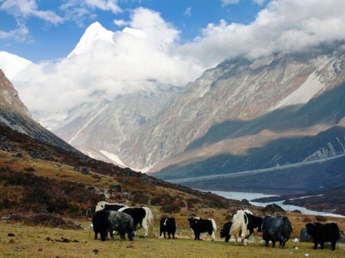 Kathmandu: 6 Days Langtang Valley Trek - Tamang Cultural Immersion