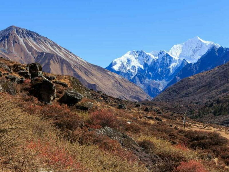 Kathmandu: 6 Days Langtang Valley Trek with Kyanjin Ri - An In-Depth Look at the 6-Day Langtang Valley Trek