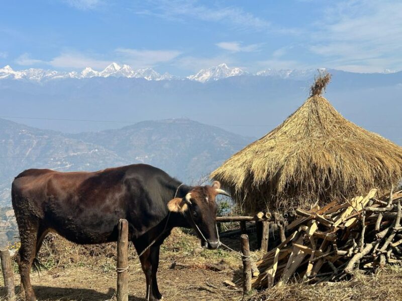 Kathmandu: Balcony Walk at North Shivapuri With Scenic View - Highlights and Experience