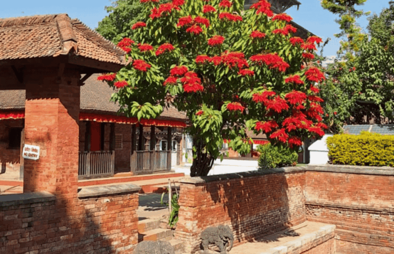 Kathmandu City UNESCO Heritage Tour - Pashupatinath Temple