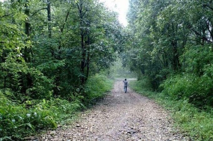 Kathmandu: Day Hiking Around Kathmandu Valley - Cultural Conversations