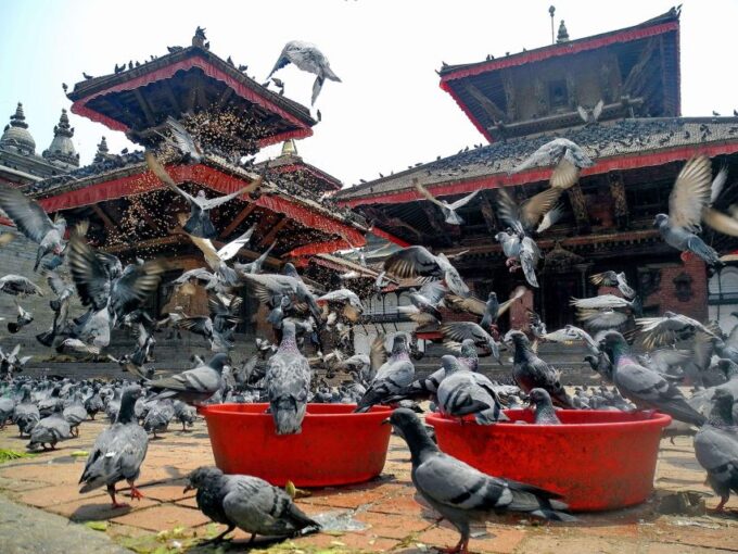Kathmandu: Full Day Private Sightseeing of Heritage Sites - Panoramic Views and Rituals