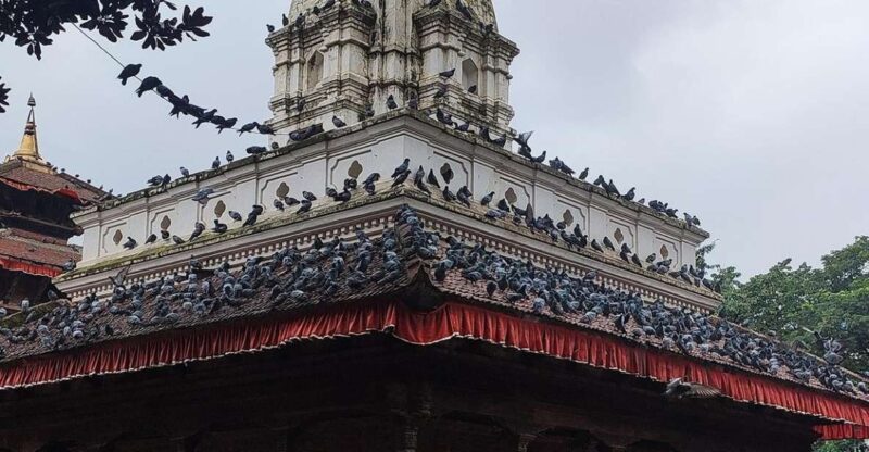 Kathmandu Full Day Tour - Tour Experience