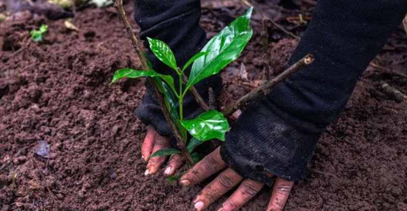 Kathmandu: Hike Jamachwok & Tree Planting for Carbon Neutral - Hiking Experience