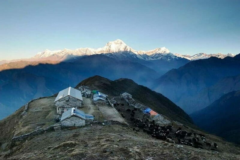 Kathmandu: Khopra Ridge Trek with Panoramic Views - Key Points