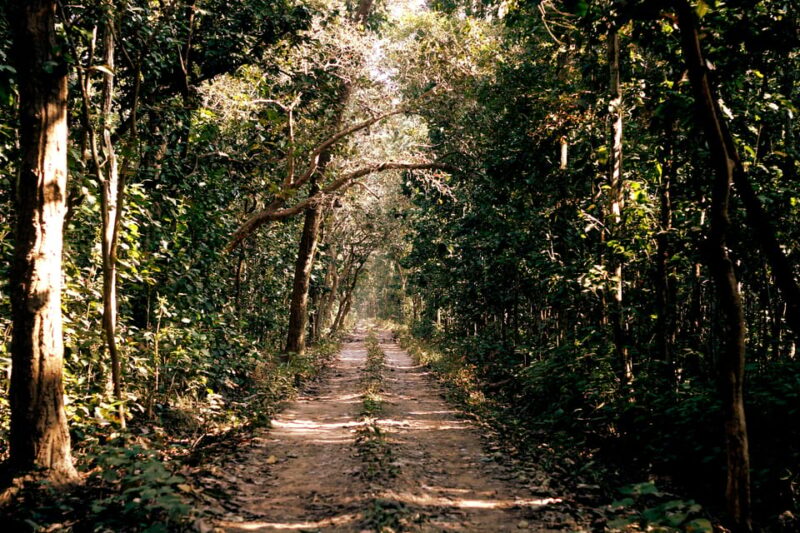 Kathmandu Pashupati: Eco- Hiking at Shivapuri National Park - Inclusions and Essentials