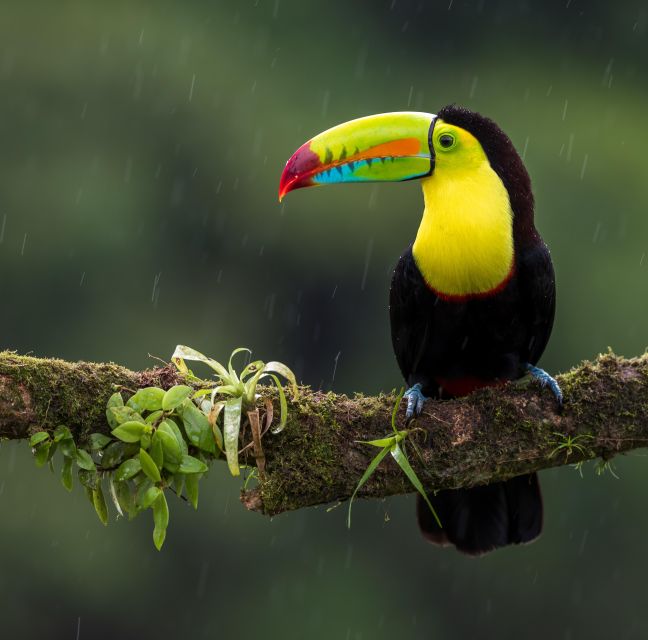 Kathmandu/Pokhara: 2-Day Chitwan Safari Private Tour By Car - Frequently Asked Questions