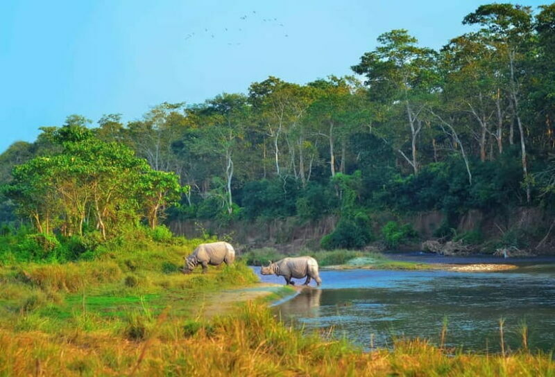 Kathmandu/Pokhara: 3 Day Chitwan Jungle Safari Tour - What’s Included & Practicalities