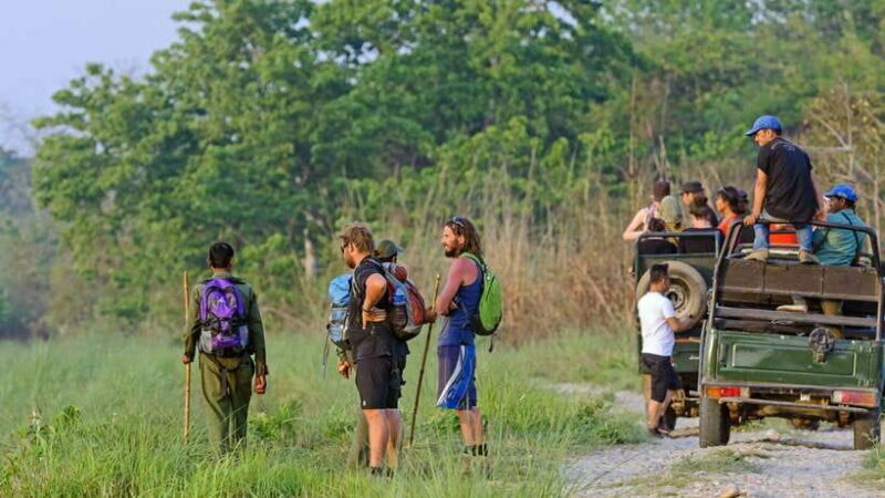 Kathmandu/Pokhara: 3 Day Chitwan Jungle Safari Tour - Authentic Reviews: What Travelers Say